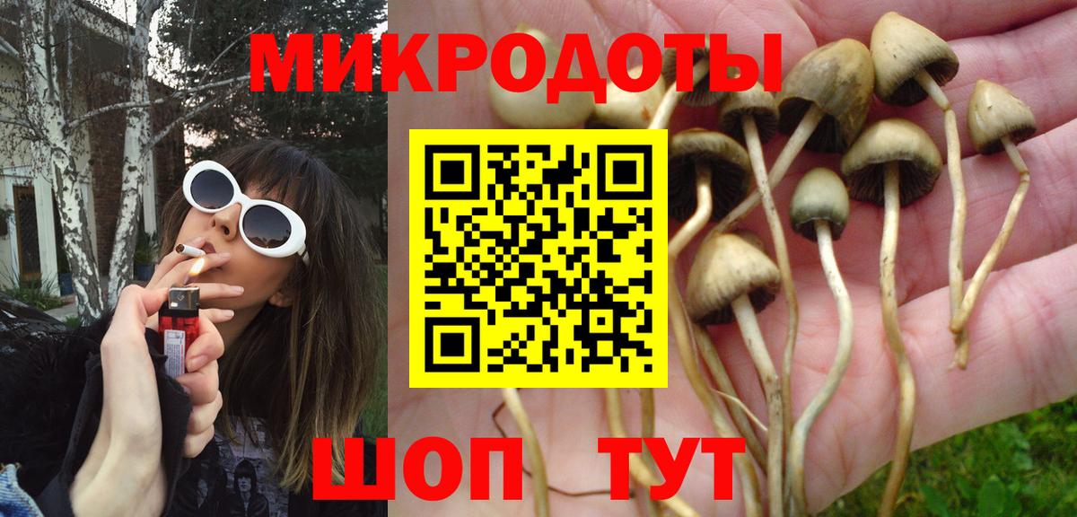 Кострома  Галлюциногенные грибы мицелий  где купить наркоту  Вход с VPN  Псилоцибиновые грибы Psilocybe 