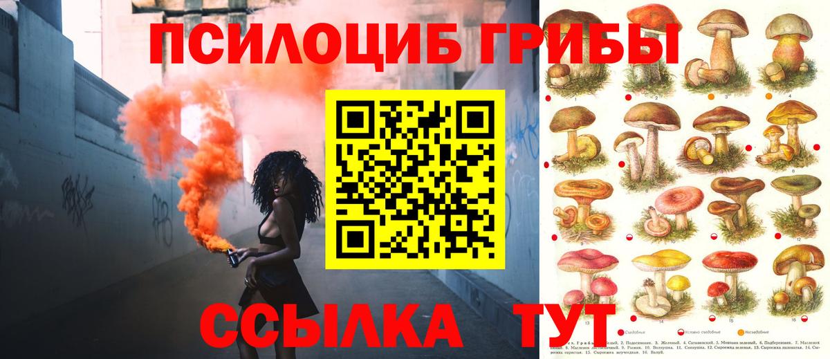 Псилоцибиновые грибы мухоморы Кострома